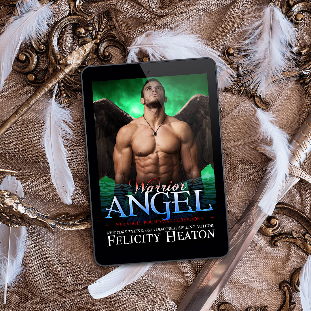 Warrior Angel, Book 3